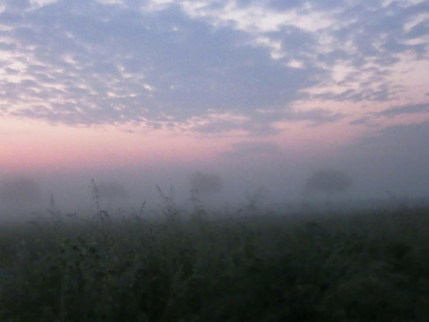 Morgendämmerung mit Nebel