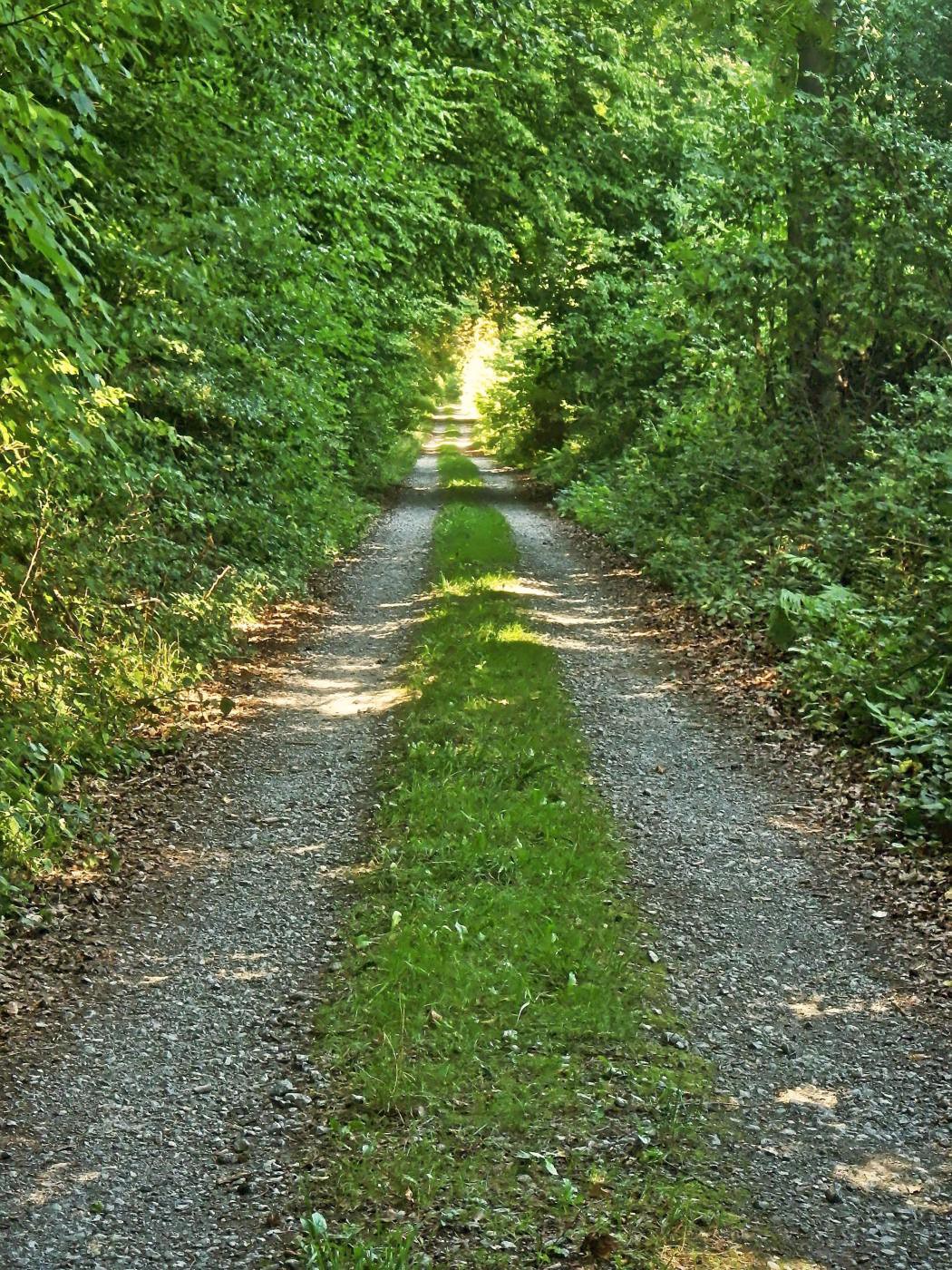 Licht am Ende des Tunnels