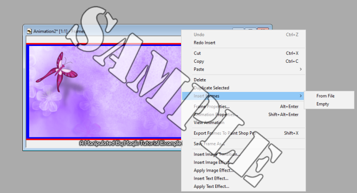 Quick Way To Add Multi Animation Frames Into A Tag #1 ASFrames1-vi