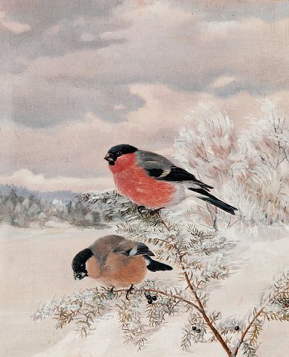 Bullfinches (1895)