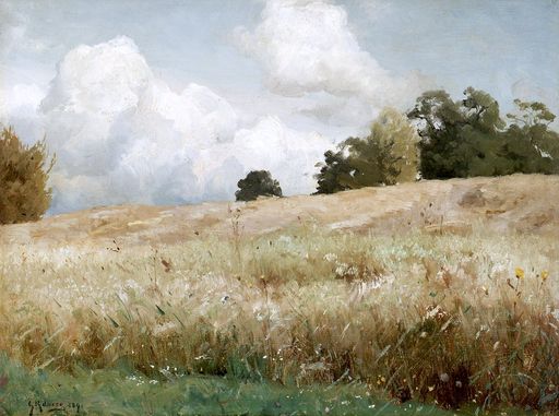 Cornfield, Landscape Study (1891)