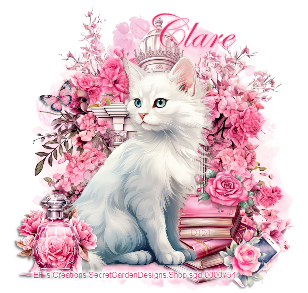 Flower Cat album Deidre photo and video sharing made easy.