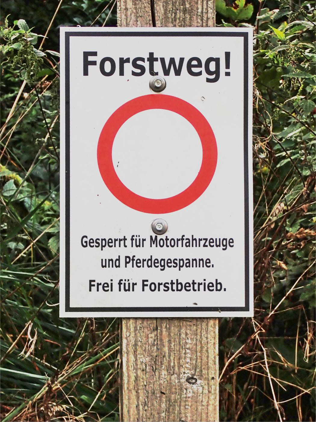 Forstweg