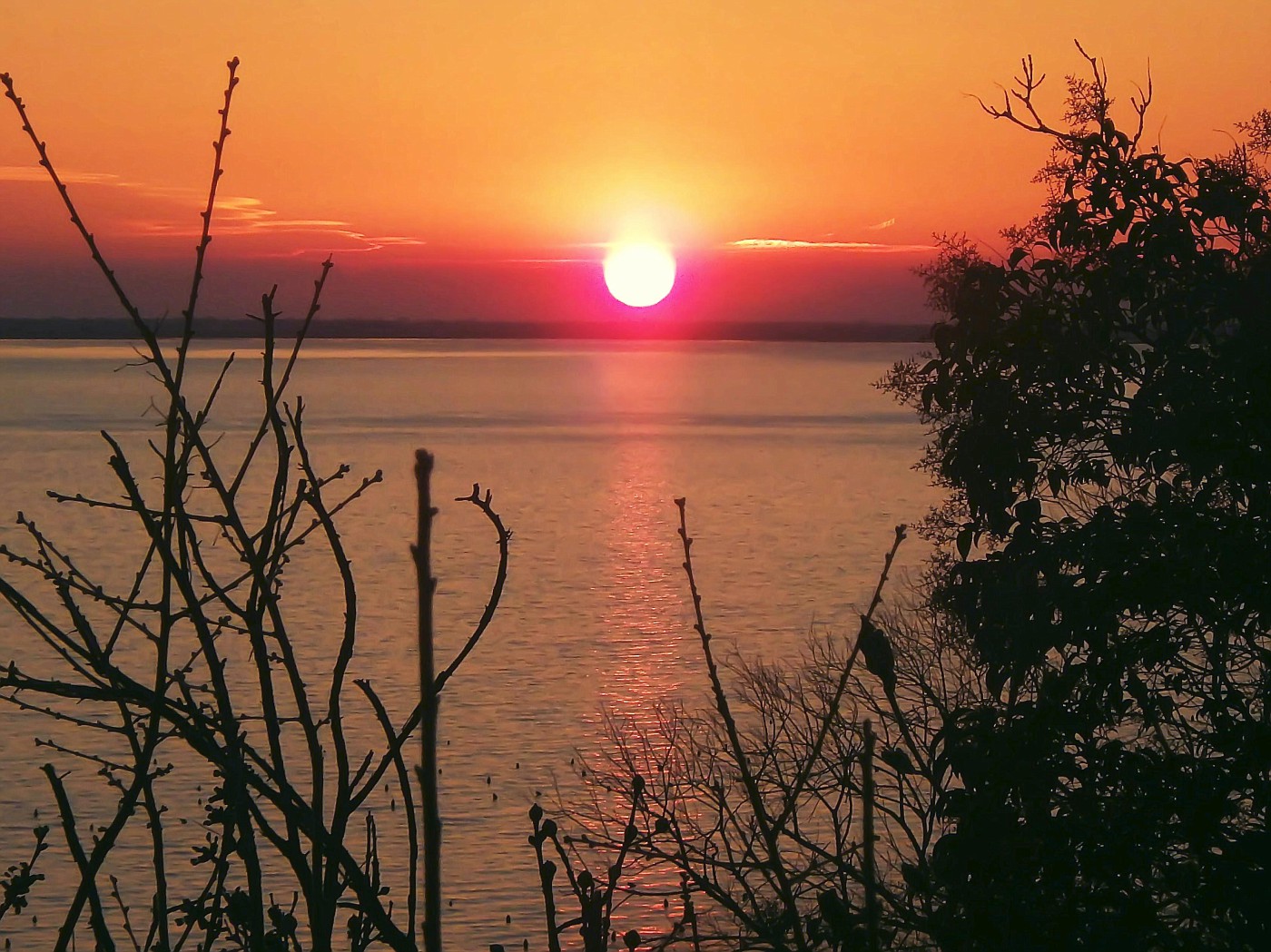 Baia di Muggia