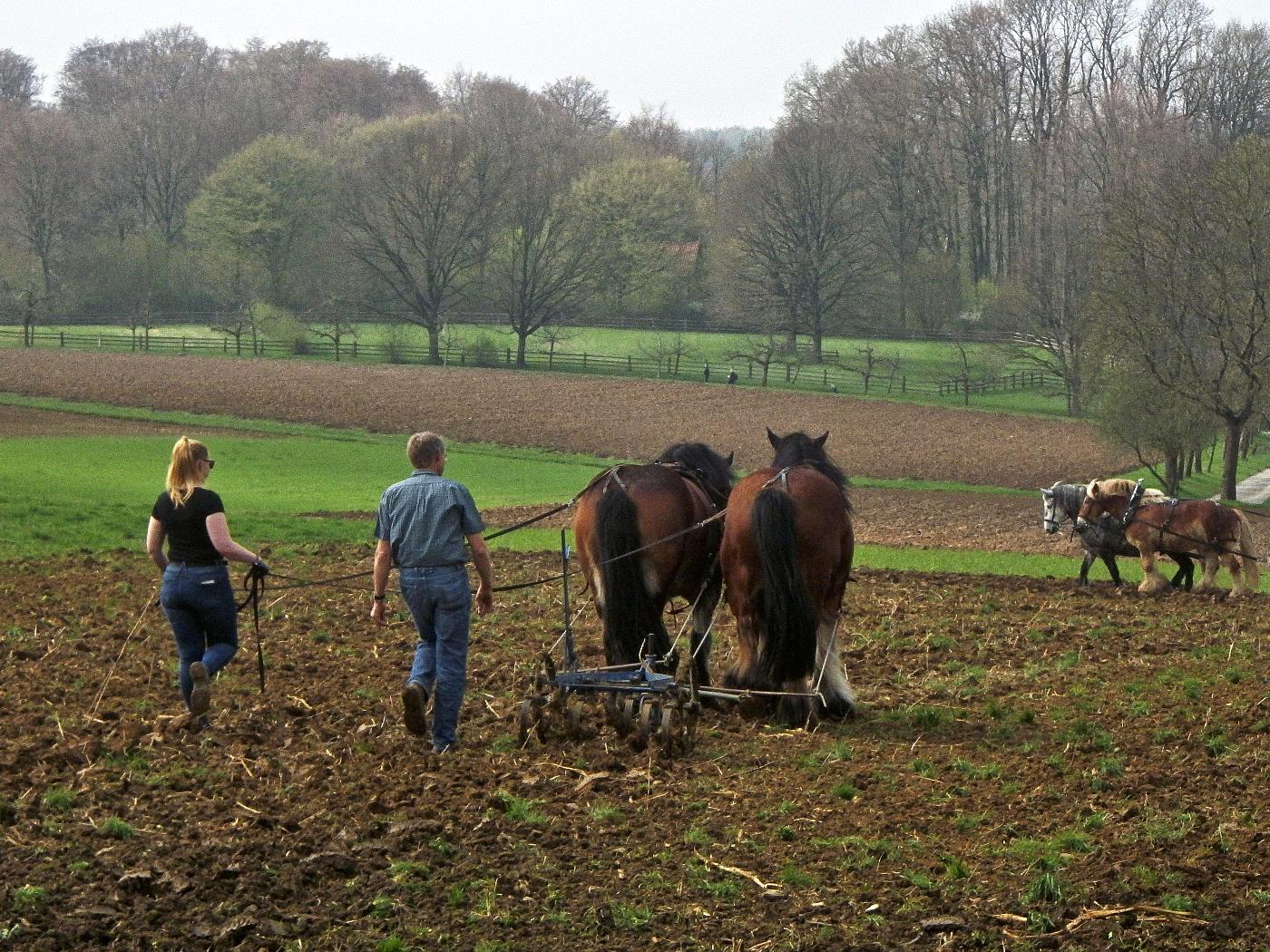 Feldarbeit