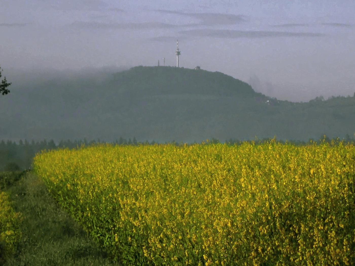 Monte Wau-wau im Morgennebel