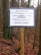 Gefährlicher Wald