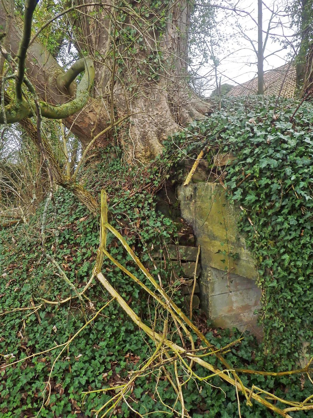 Natur