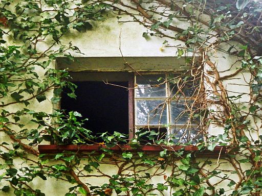 Fenster der Natur