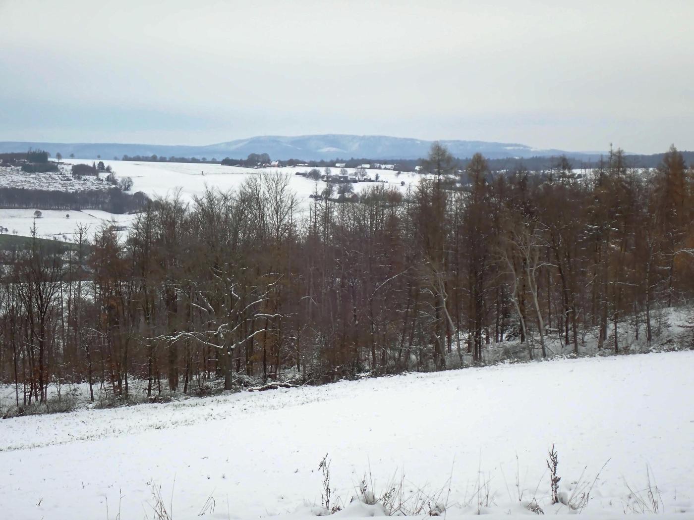 Auf dem Lüningsberg