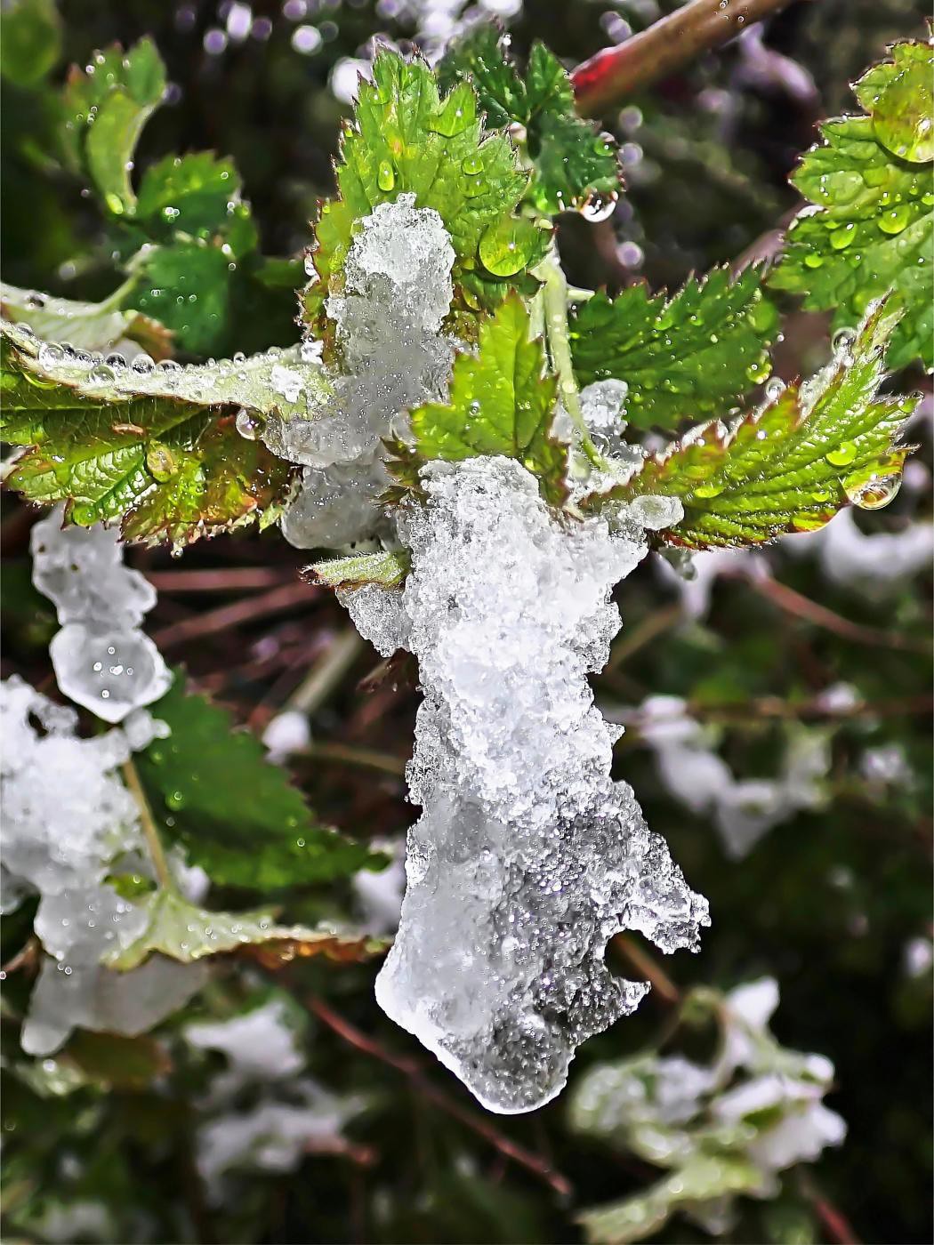 Eiszeit statt Klimaerwärmung