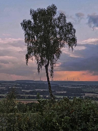 Blick vom Dohlenberg