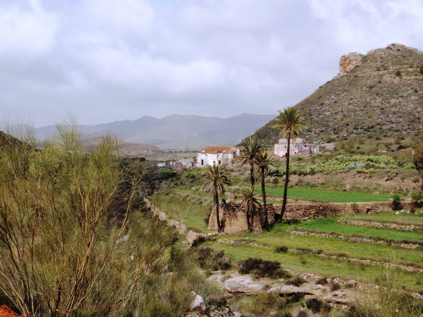 Cortijo De Las Tejas