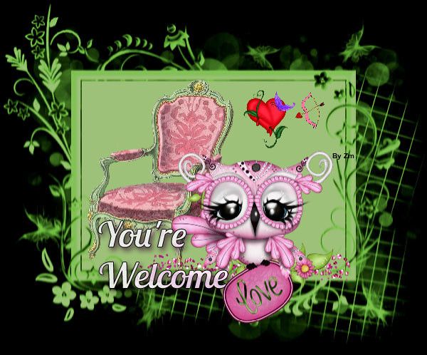 photo-you-re-welcome-love-owl-album-susan-fotki-photo-and