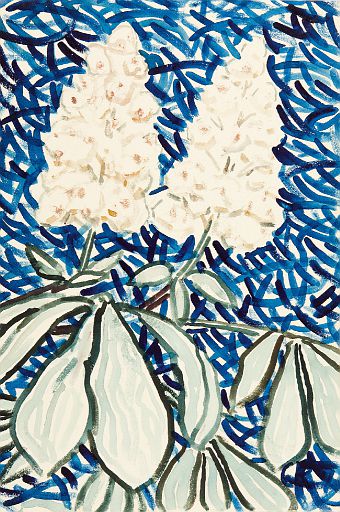 Boxia Flowers (1907)