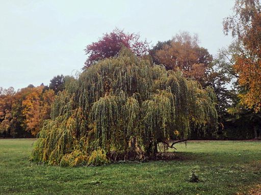 Schlosspark