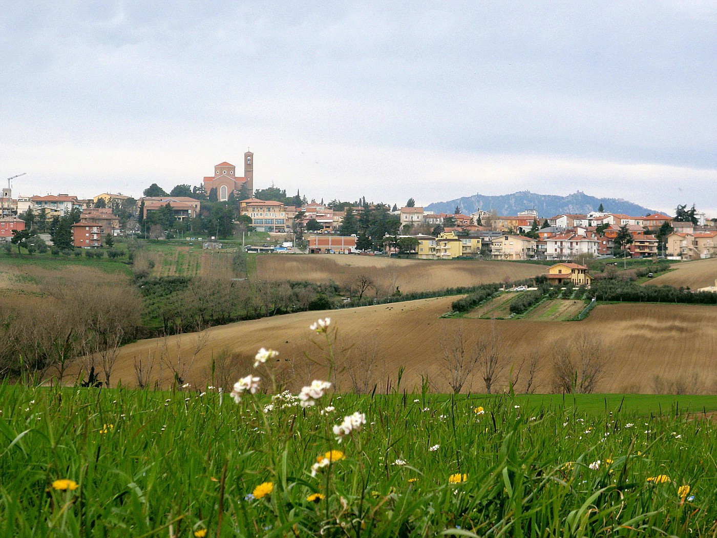 Coriano