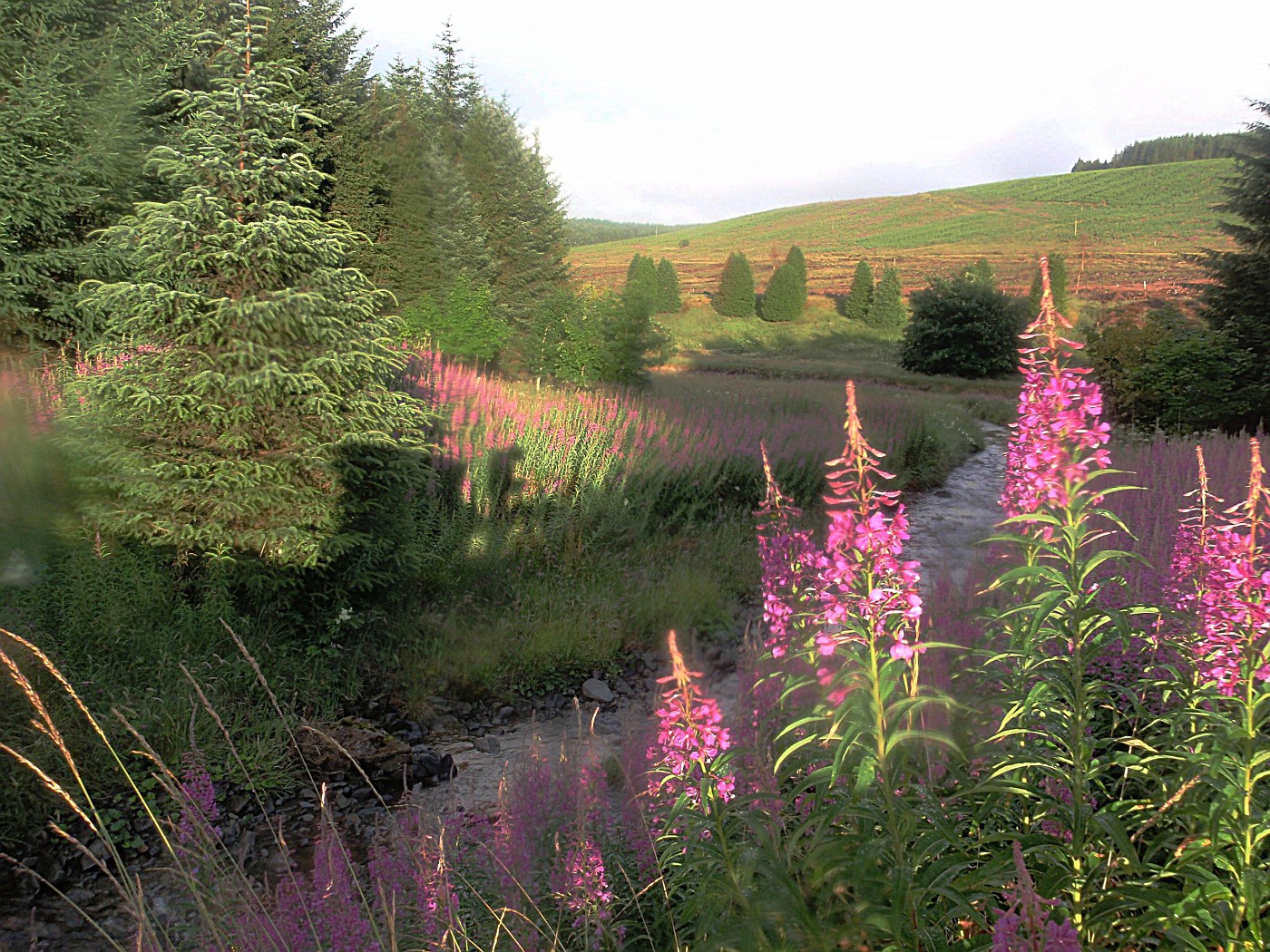 Traquair - Eskdalemuir