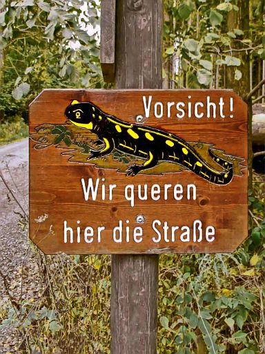 Vorsicht! Wir queren hier die Straße