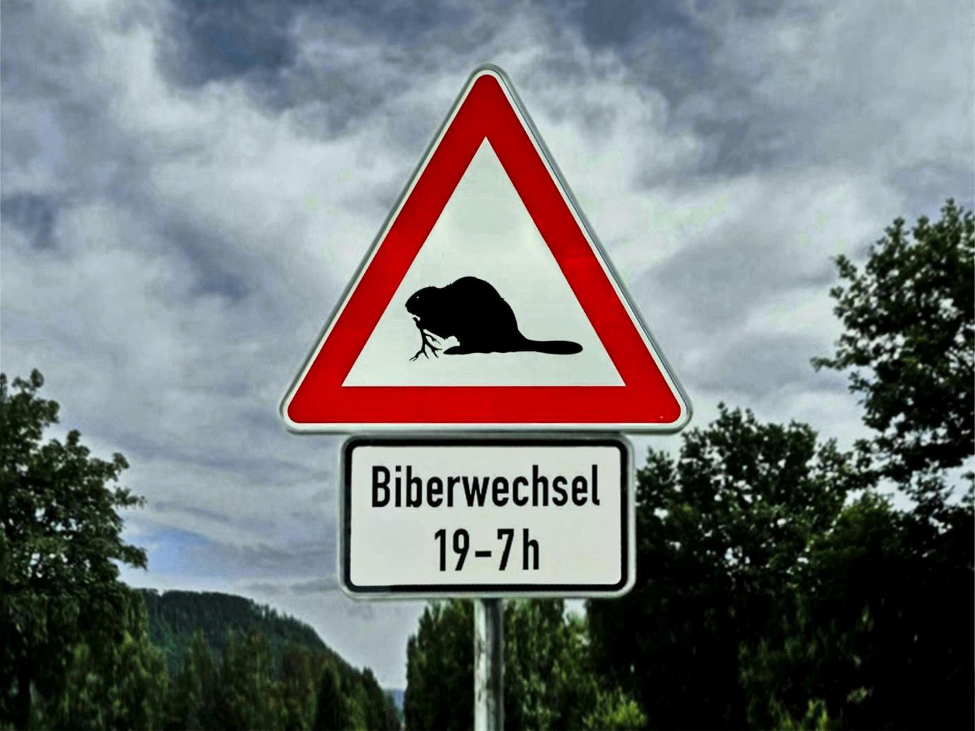 Biberwechsel