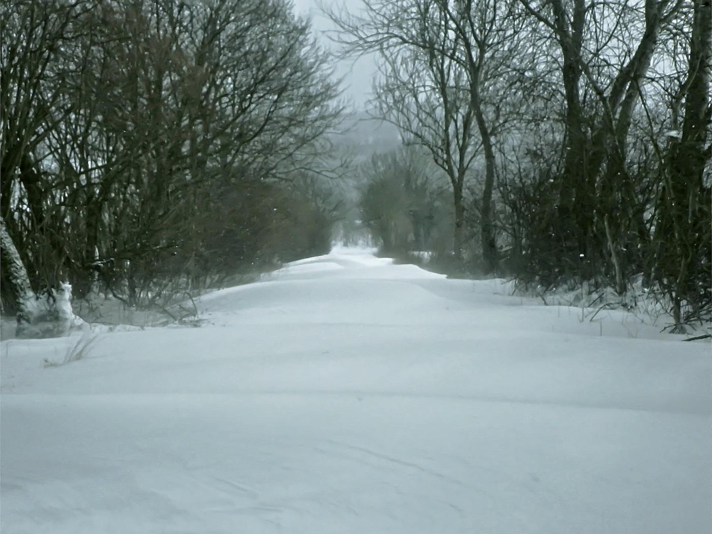 Welliger Winterweg