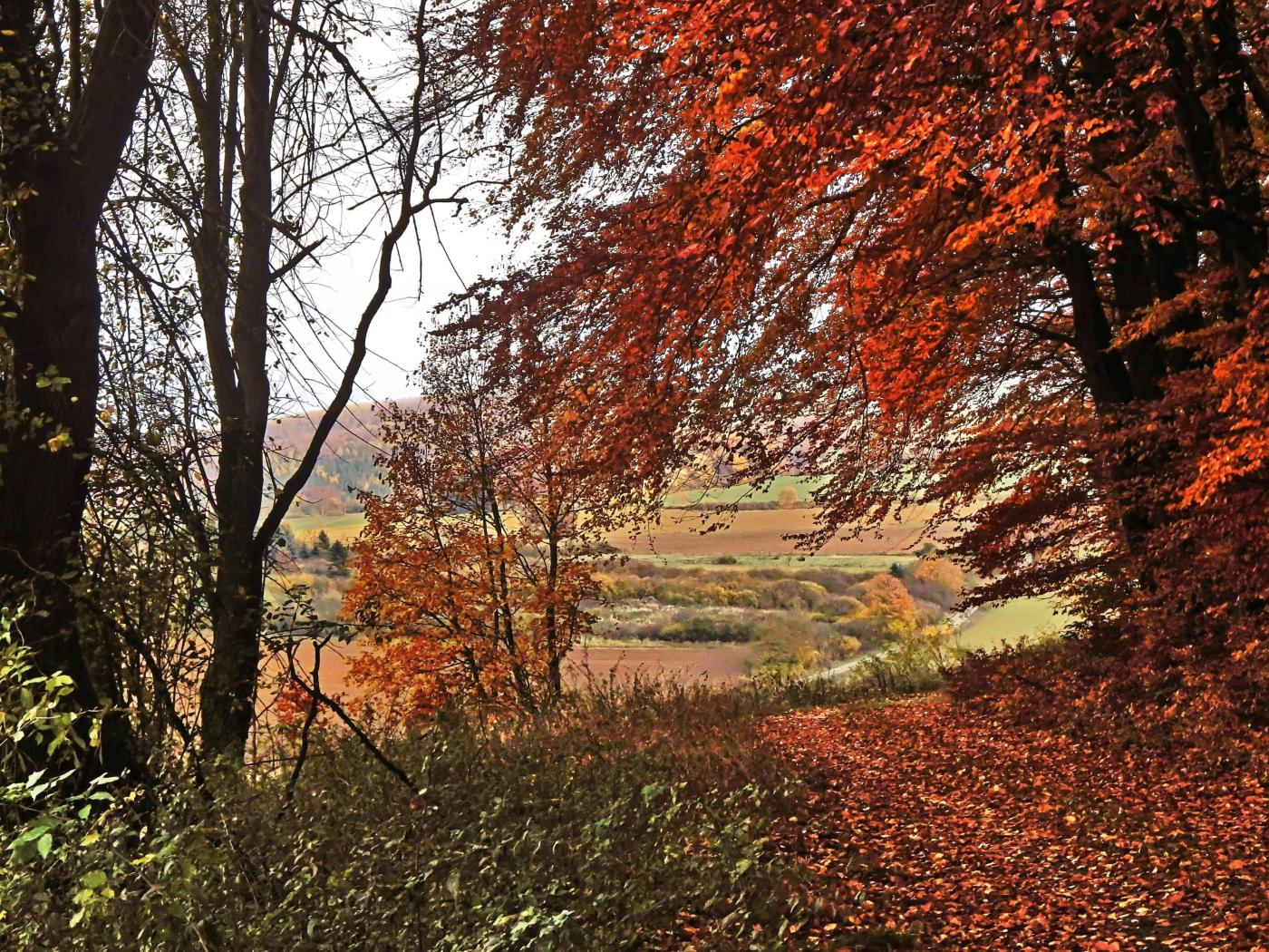 Geschmückte Wege