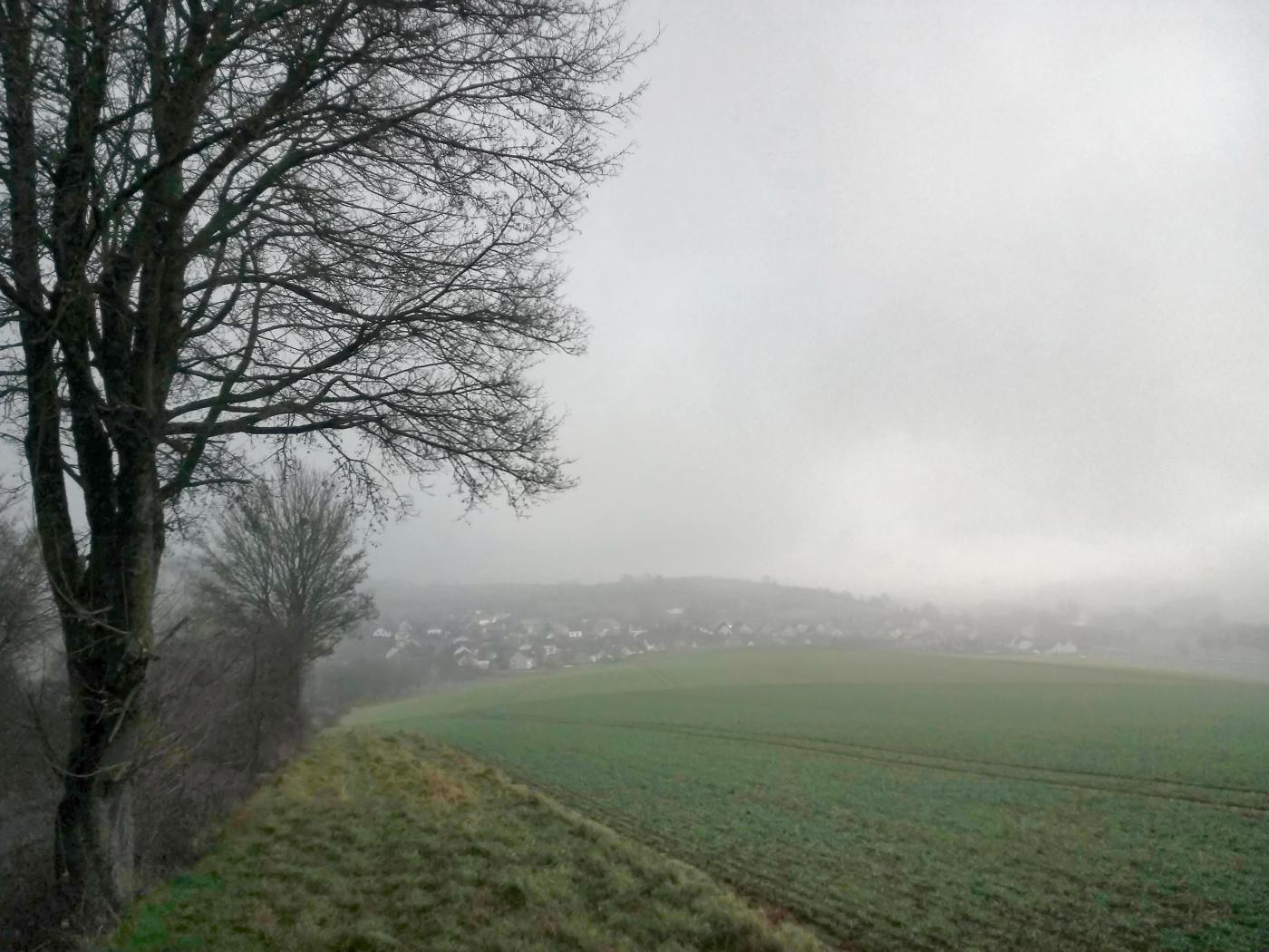 Das Dorf im Nebel