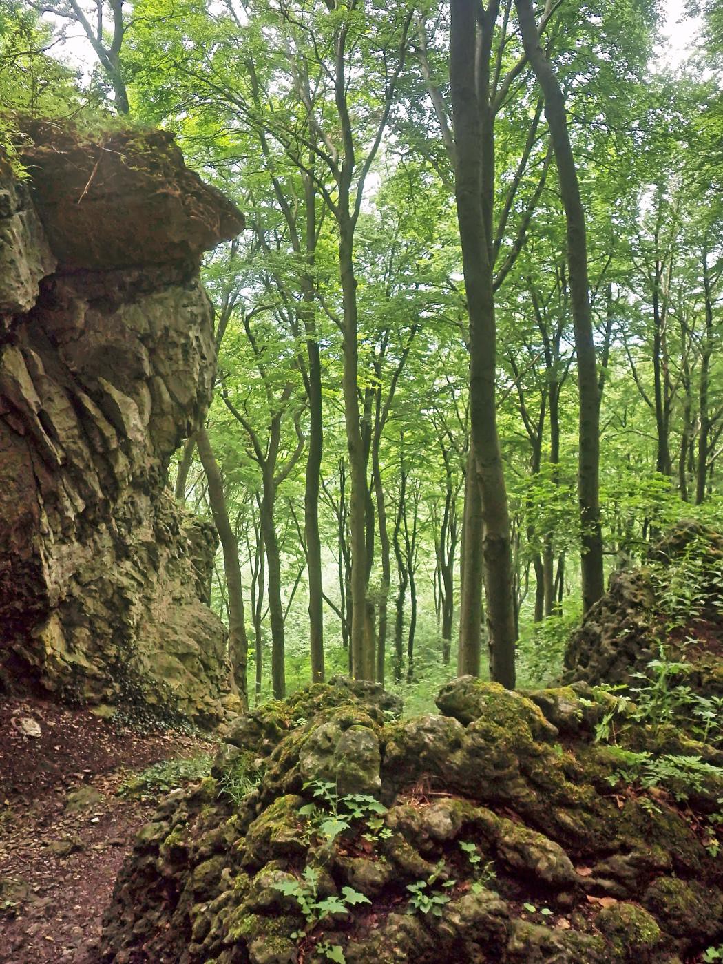 Lüerdissener Klippen