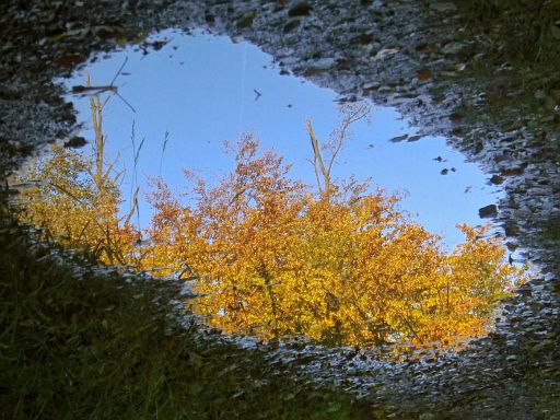 Puddle upside down