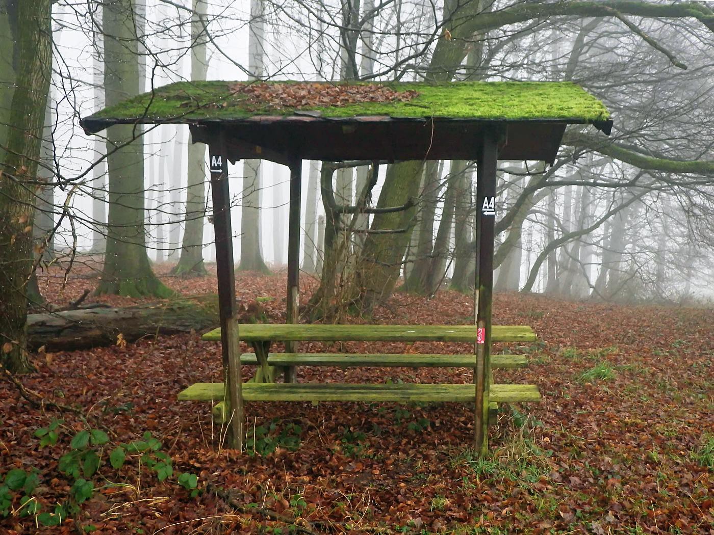 Picknick-Platz