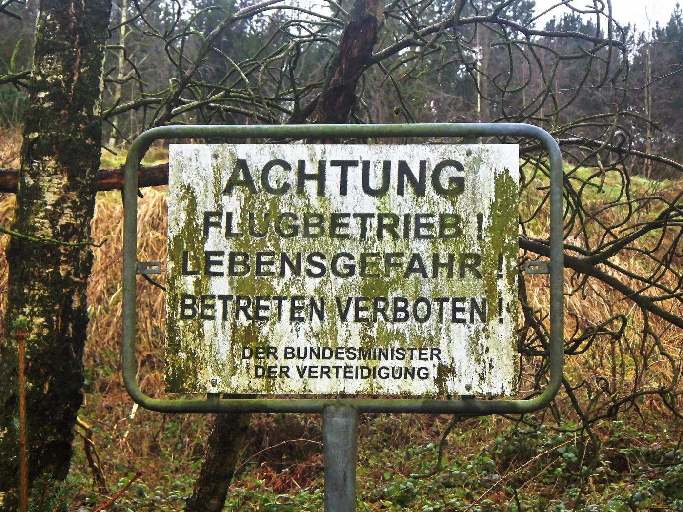 Schierholzberg