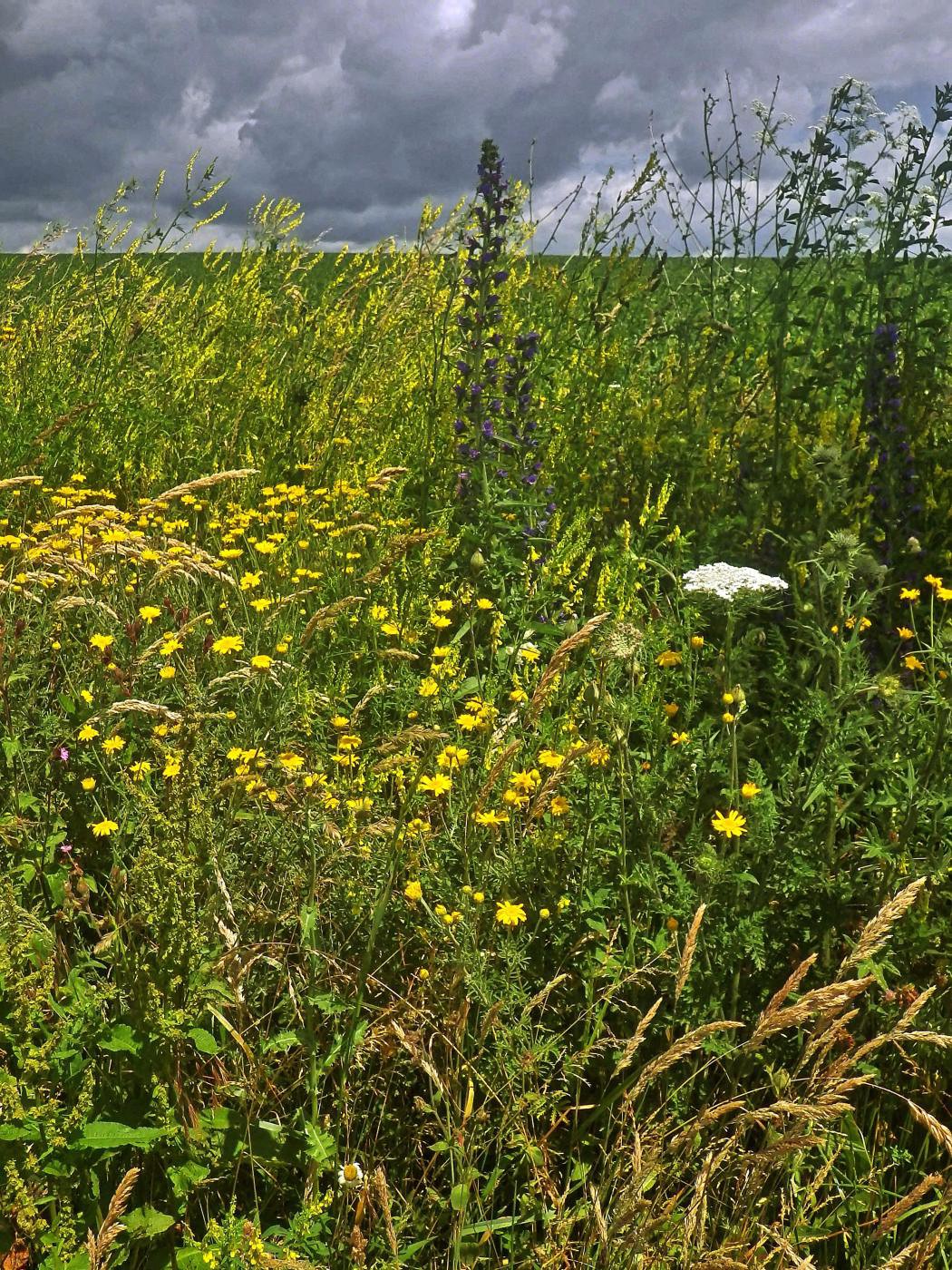 Sommerliches Beieinander