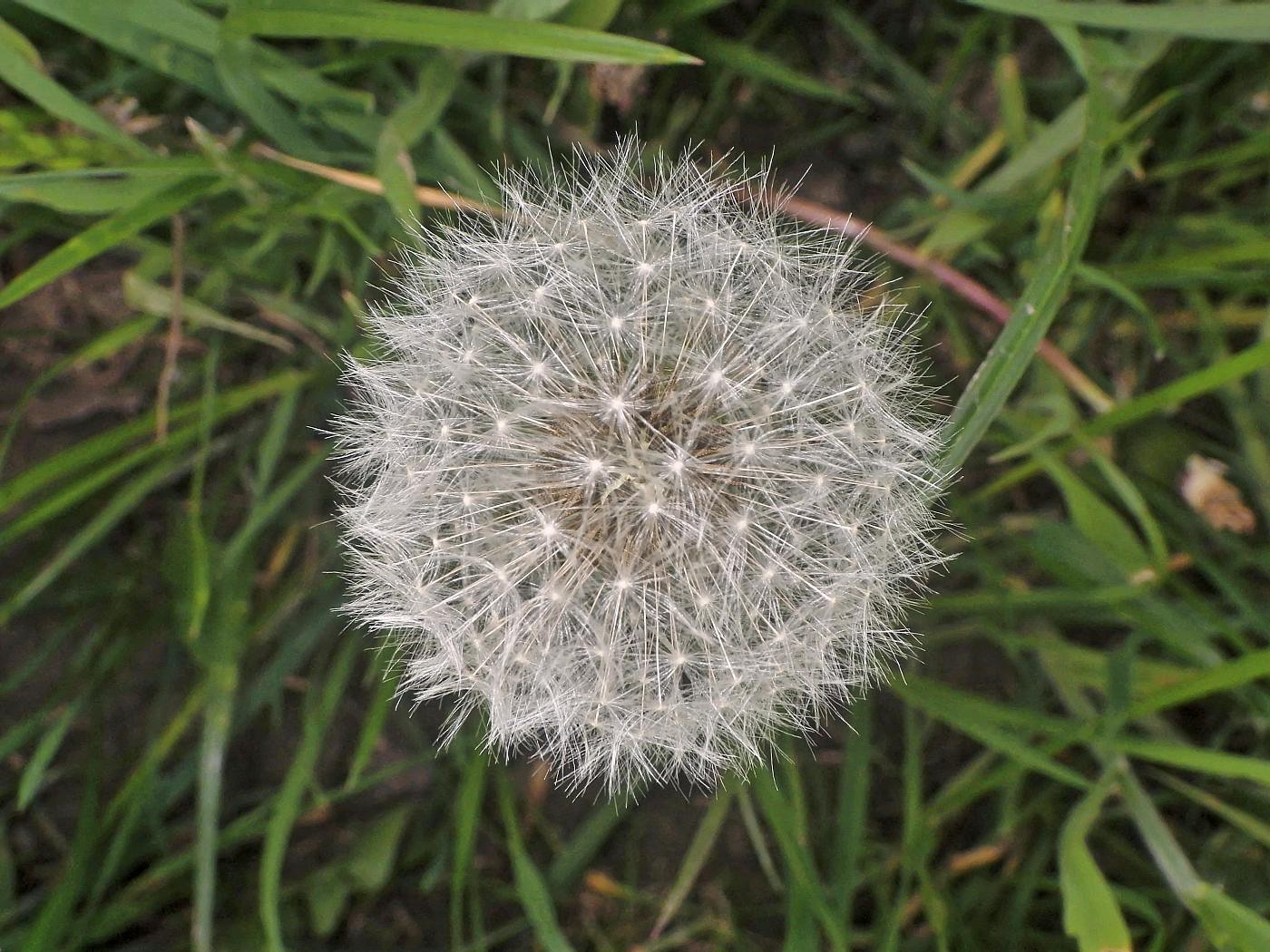 Warten auf den Wind