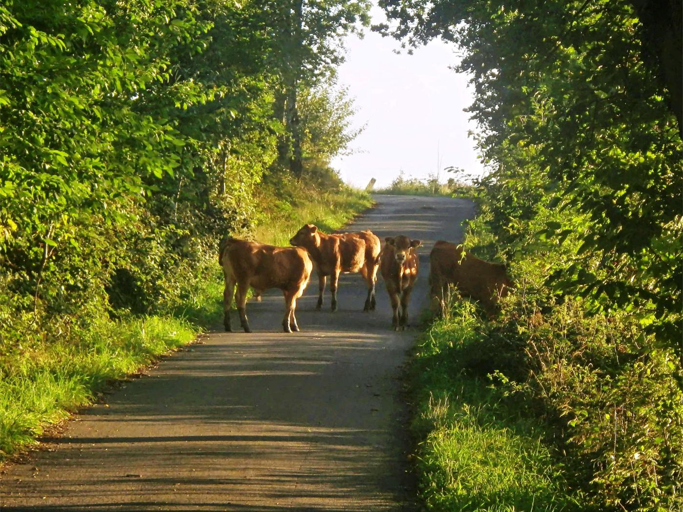 Straßenblockade