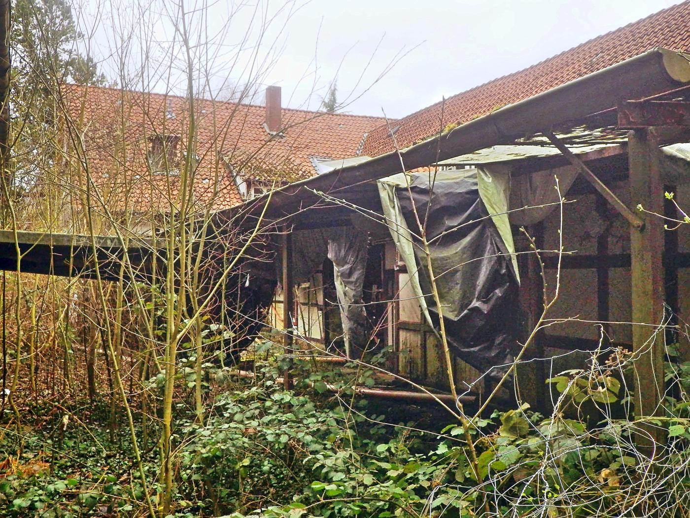 Die Natur holt sich das Gartenlokal