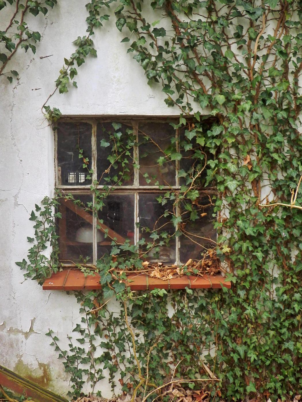 Fenster landwirtschaftliche Gebäude