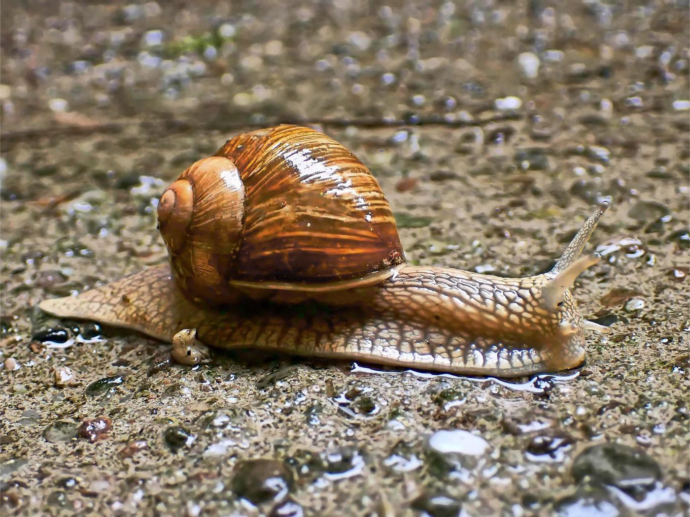 Offensichtlich gefällt ihr das Aprilwetter