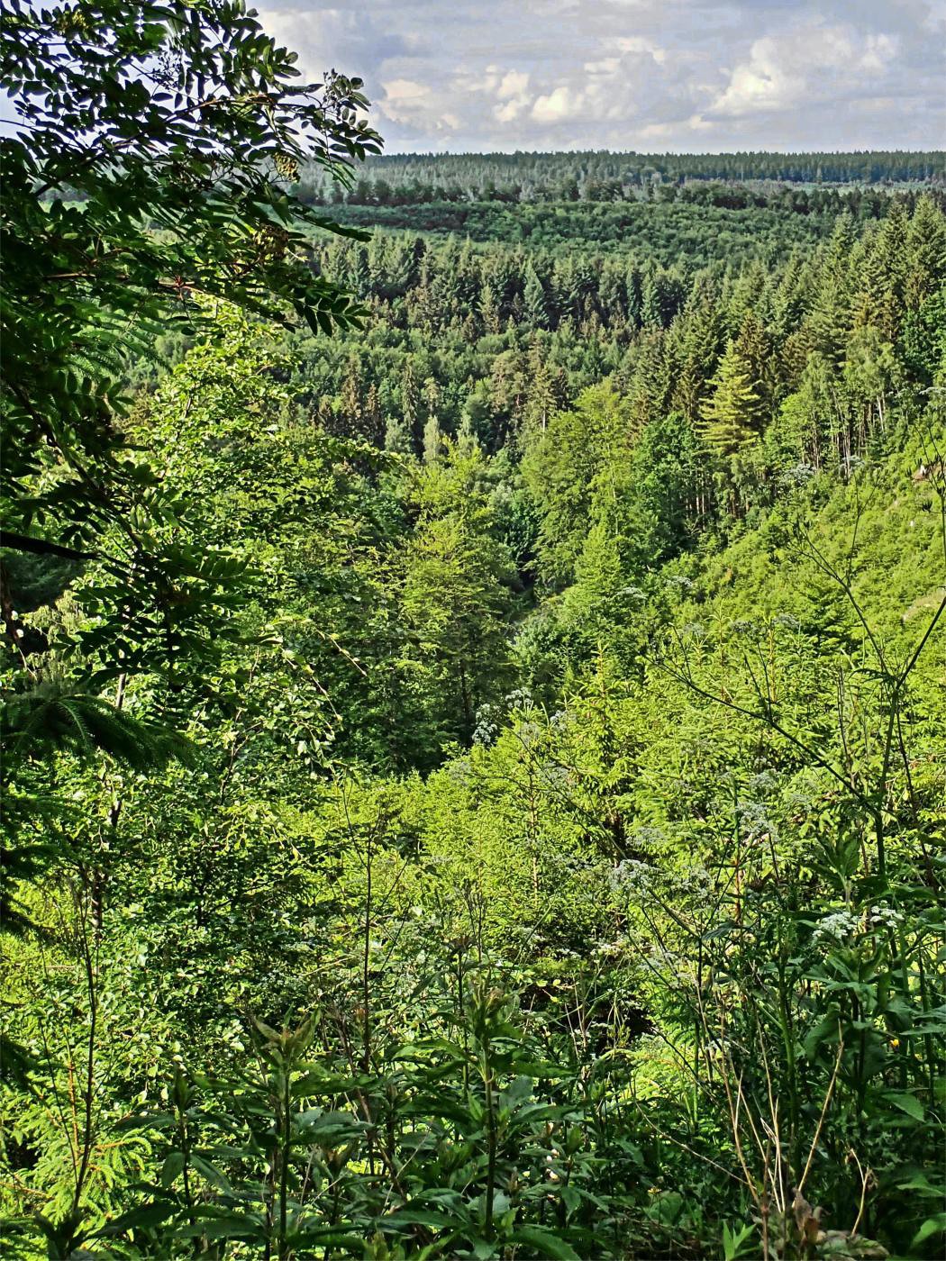 Blick vom Promilleweg