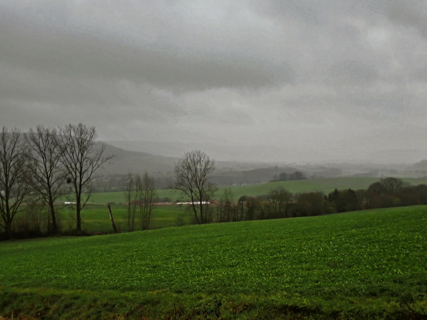 Am Fuß des Riepens