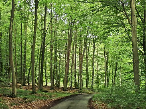 Durch Regen erfrischt