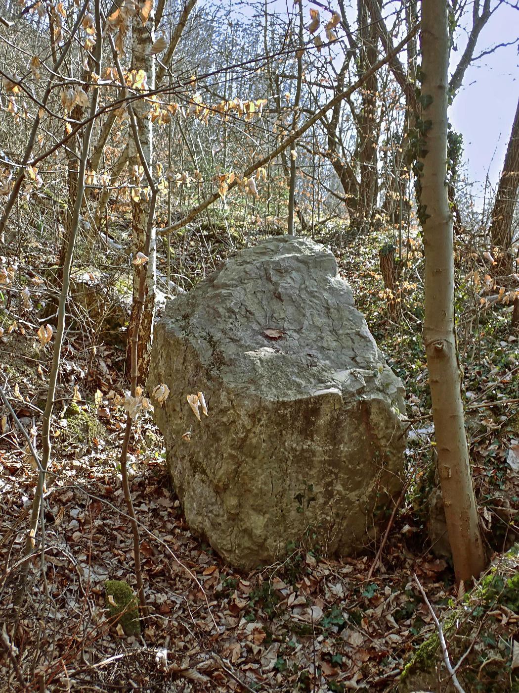 Steinchen