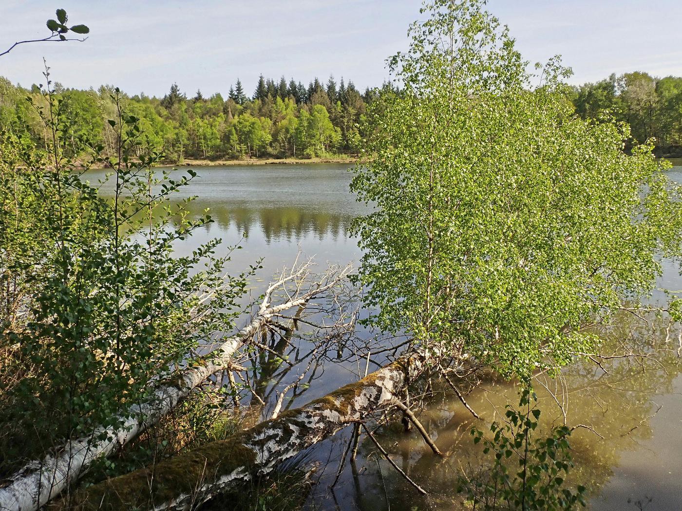 Weinberger See