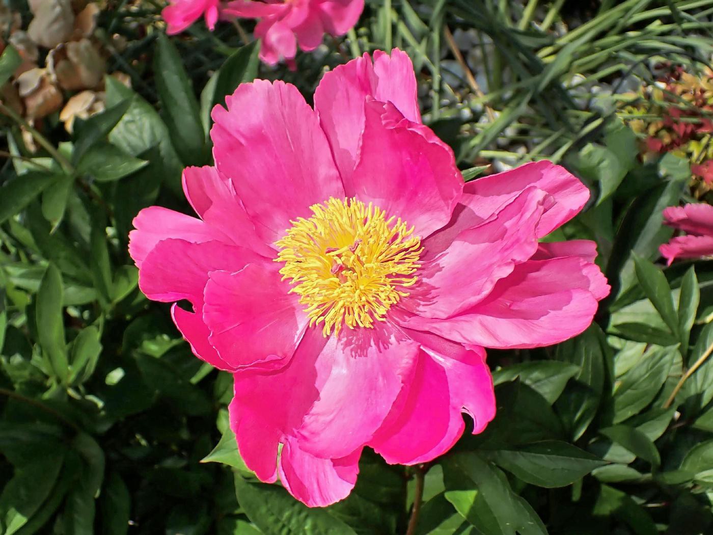 Leuchtendes Schmuckstück