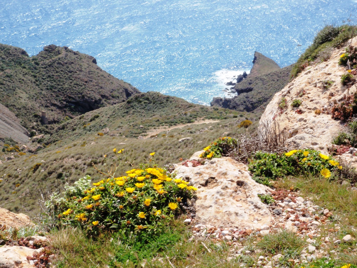 La Mesa Roldan