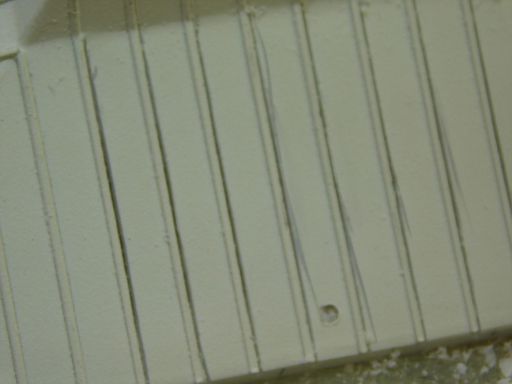 DSCN0495
