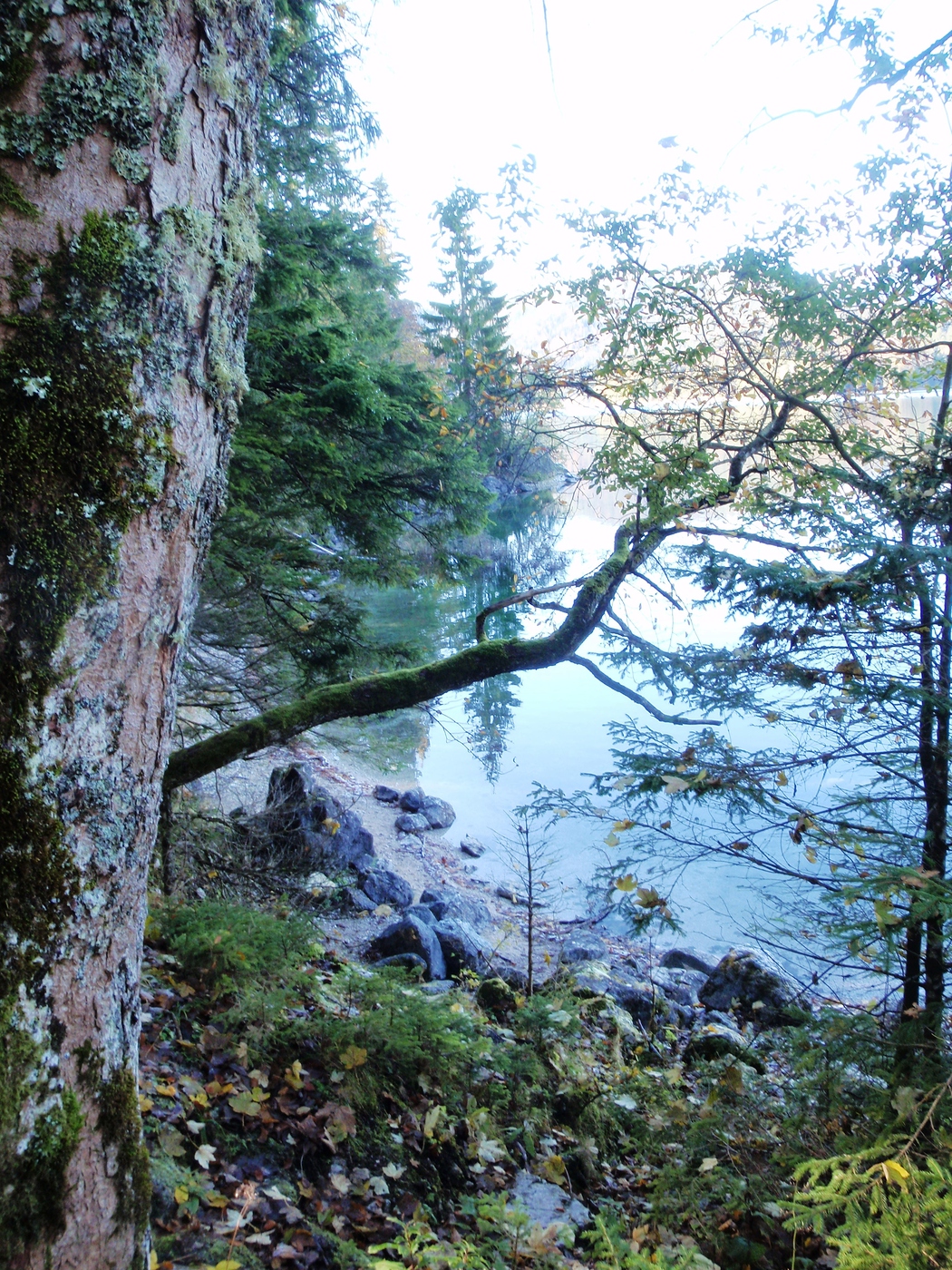 Am Eibsee