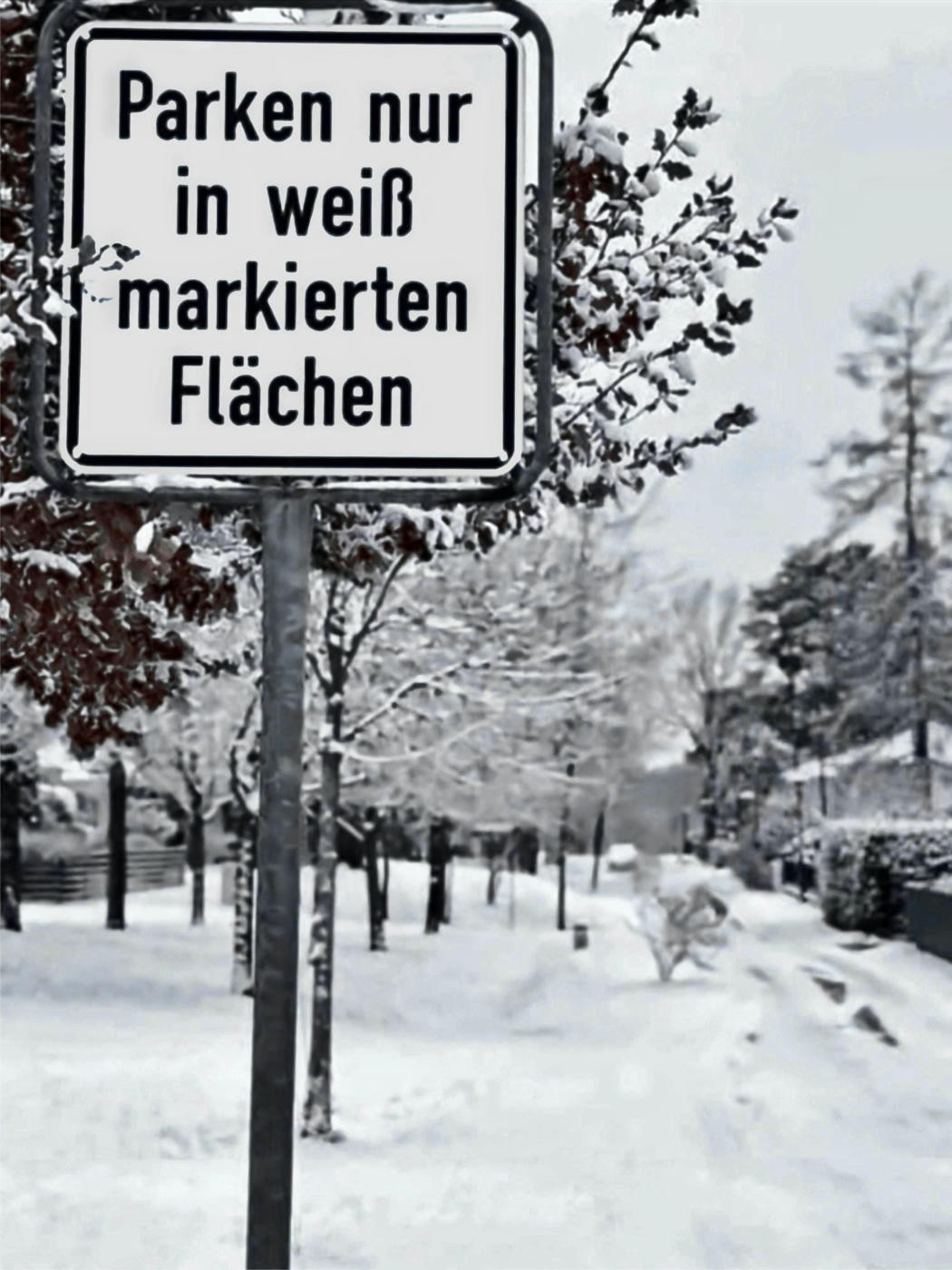 Parken nur in weiß markierten Flächen