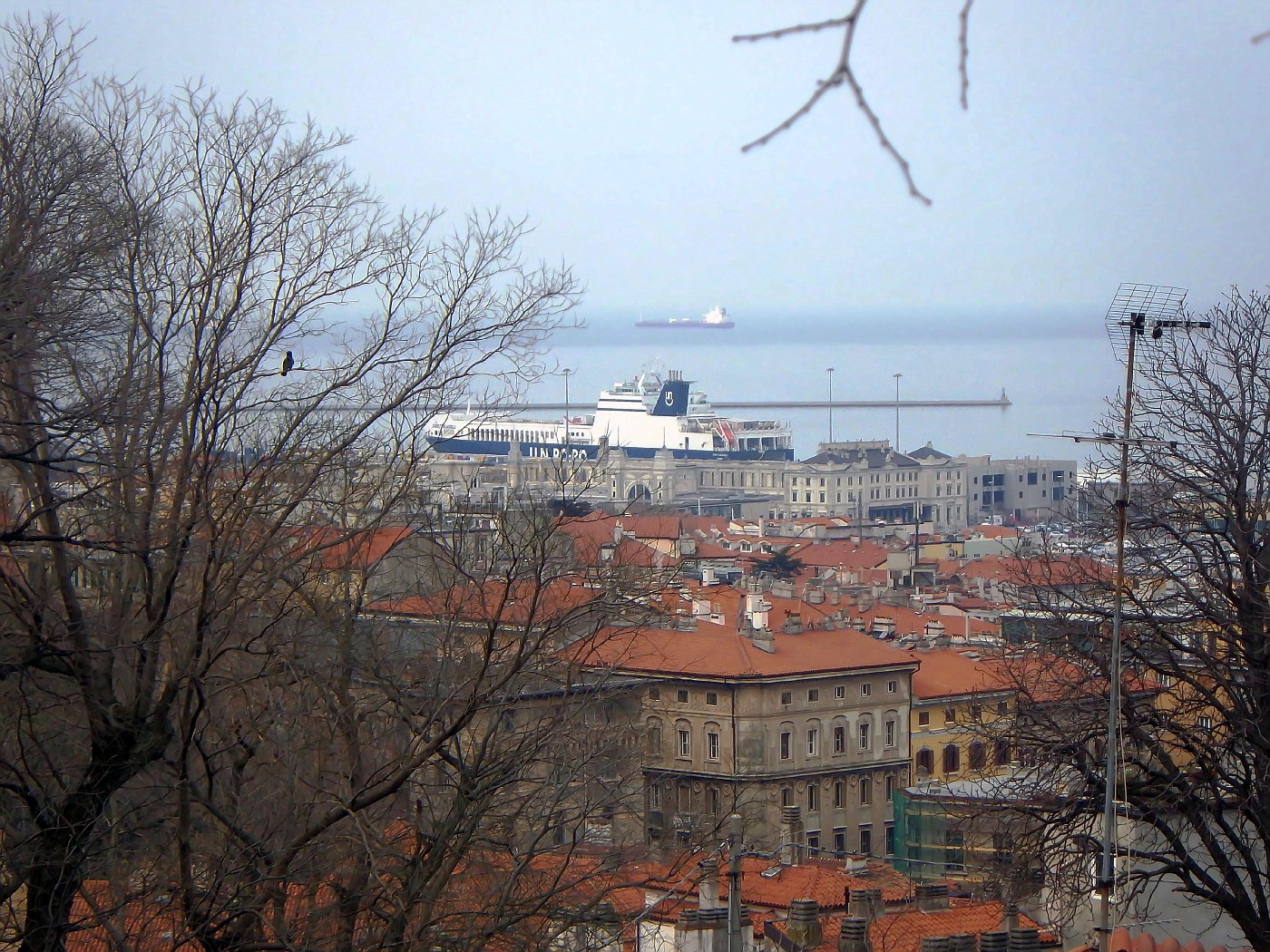 Vista su Trieste