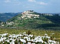 Motovun