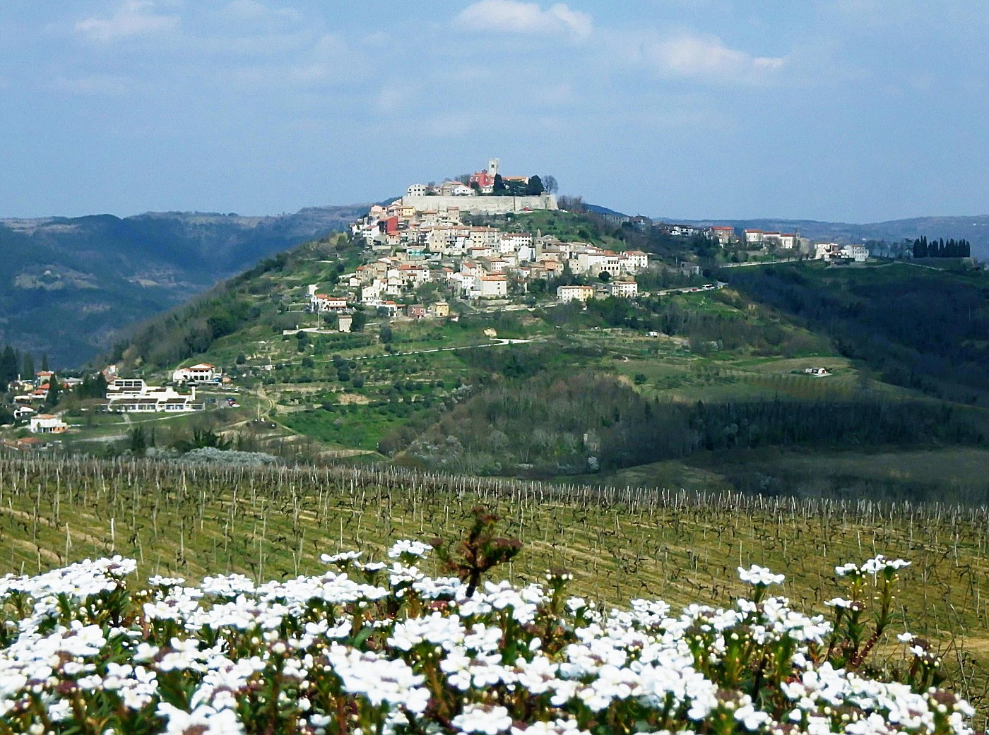 Motovun